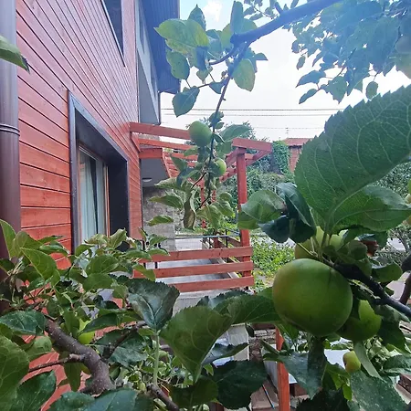 Willa приказка