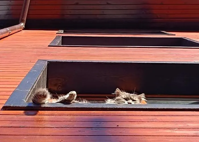 Villa приказка Klisura (Plovdiv)