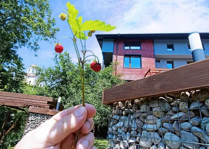 Villa приказка