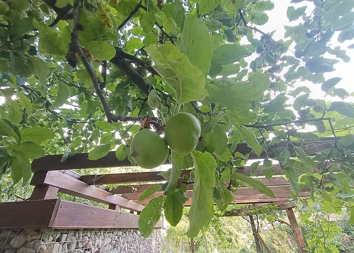 Villa приказка *